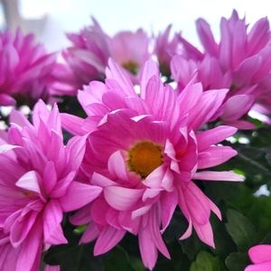 Welcome to my personal Closet!